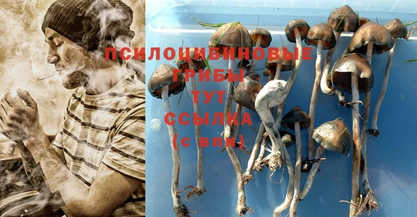 ГАЛЛЮЦИНОГЕННЫЕ ГРИБЫ Абдулино