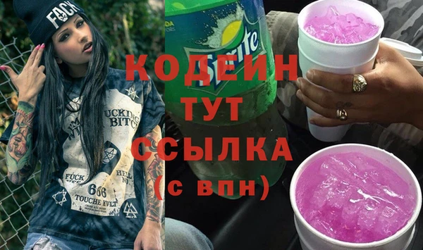 хмурый Абаза