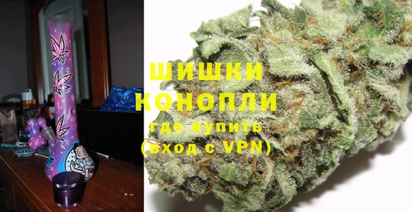 хмурый Абаза