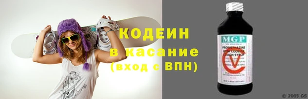 хмурый Абаза
