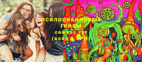 не бодяженный Алексин