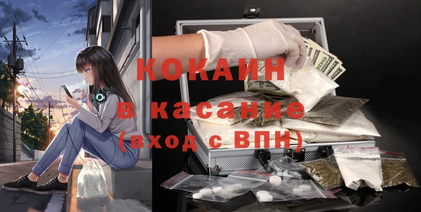 хмурый Абаза
