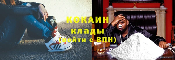 хмурый Абаза