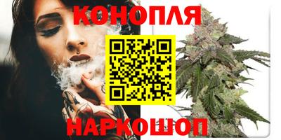 jwh Гусев