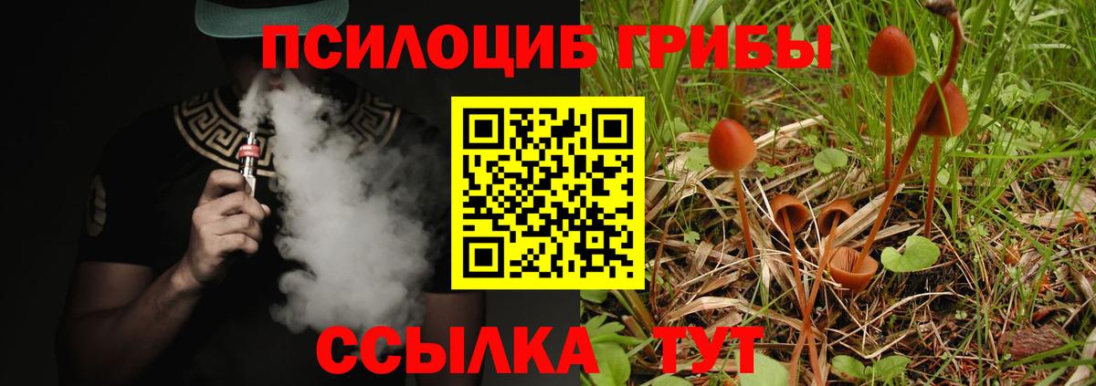 Галлюциногенные грибы Magic Shrooms  Псилоцибиновые грибы Cubensis  Вход с VPN  Сорочинск 